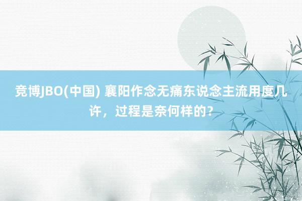 竞博JBO(中国) 襄阳作念无痛东说念主流用度几许，过程是奈何样的？