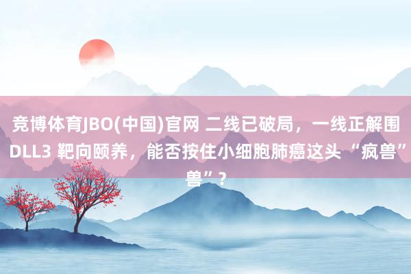竞博体育JBO(中国)官网 二线已破局，一线正解围：DLL3 靶向颐养，能否按住小细胞肺癌这头 “疯兽”？